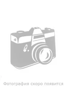 1201 Blank 1201 Blank