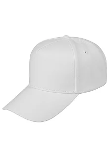 191-0-1-190-031C Пятипанельная хлопковая 191-0-1-190-031C Пятипанельная хлопковая