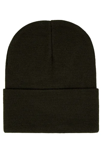New True Beanie
