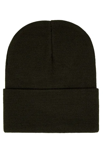 New True Beanie