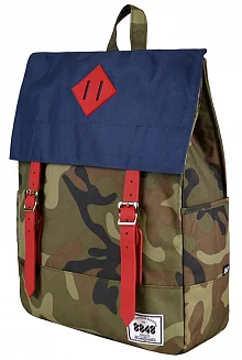 C055-1 Пятачок на крышке 41х14х32 см