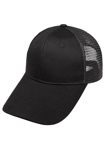 2224 Длинный козырёк с сеткой