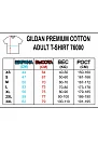 76000 Premium Cotton Fine Jersey T-Shirt