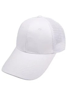 2224 Длинный козырёк с сеткой 2224 Длинный козырёк с сеткой