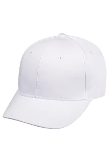 318-6-1-002-002С Короткий козырёк 318-6-1-002-002С Короткий козырёк